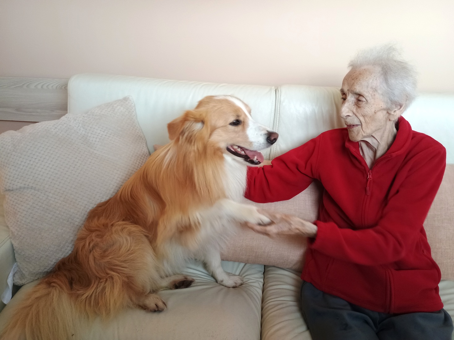 Programy podpory seniorov
