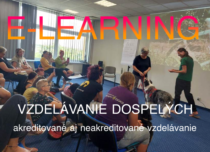 VZDELÁVANIE DOSPELÝCH